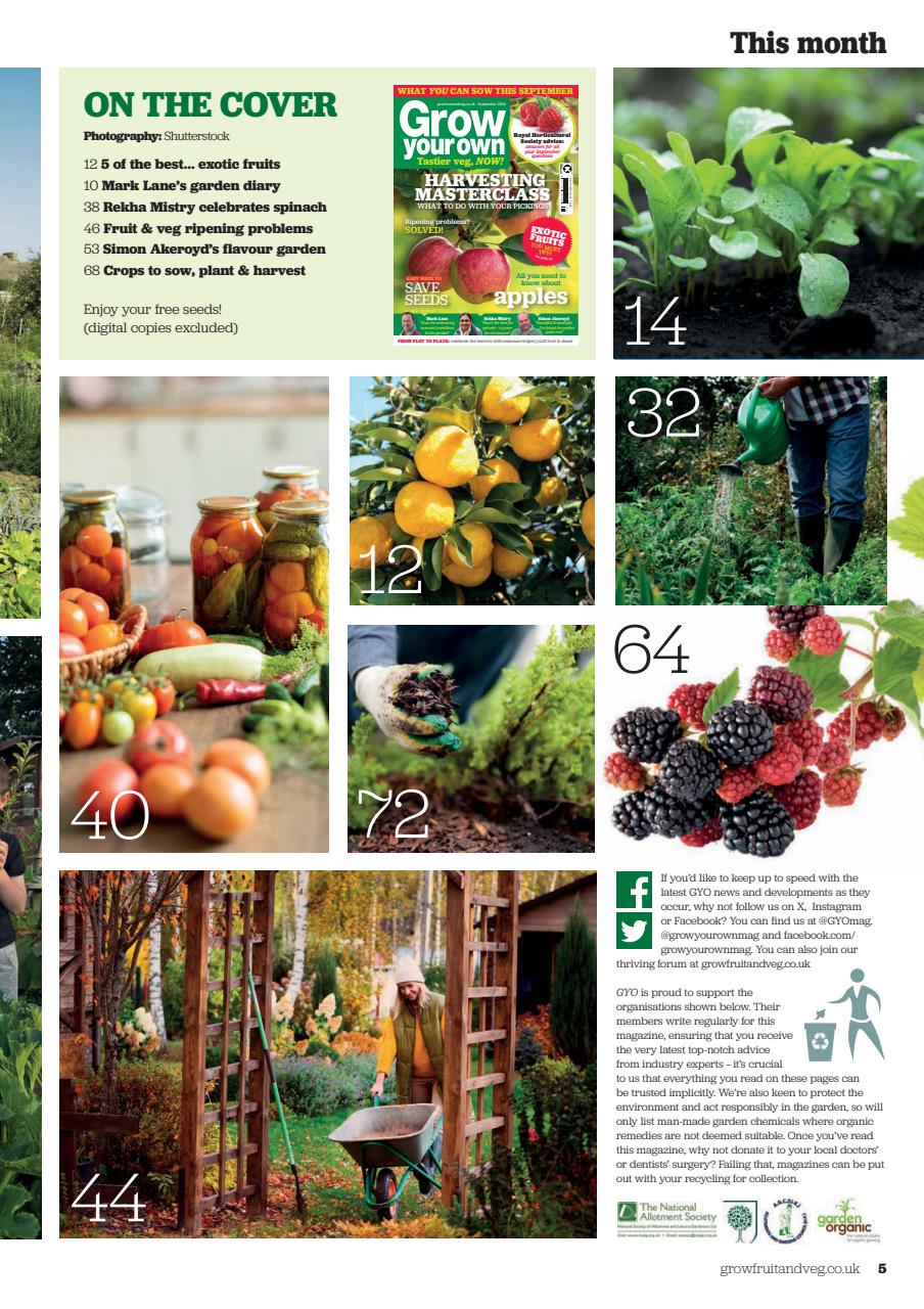 Grow Your Own Preview Pages