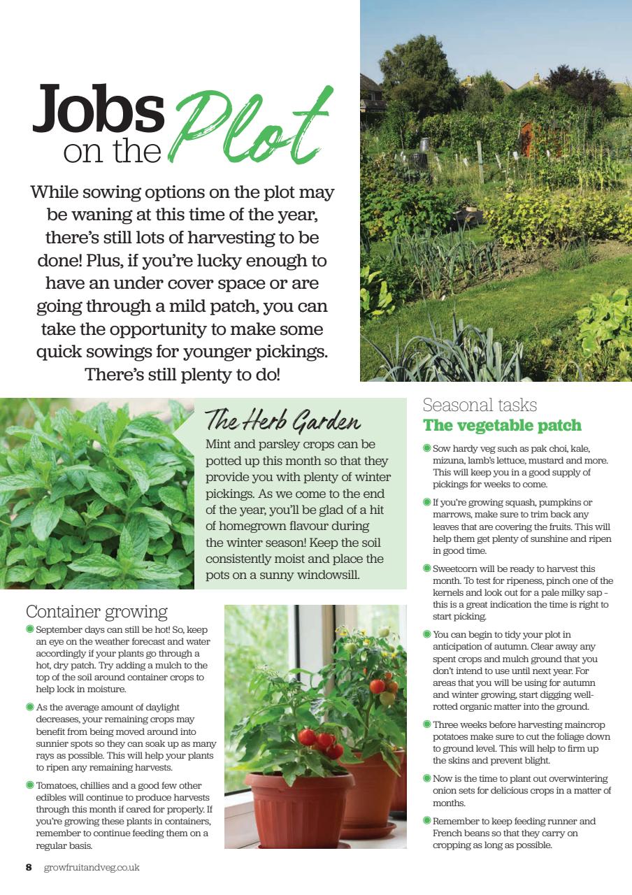 Grow Your Own Preview Pages