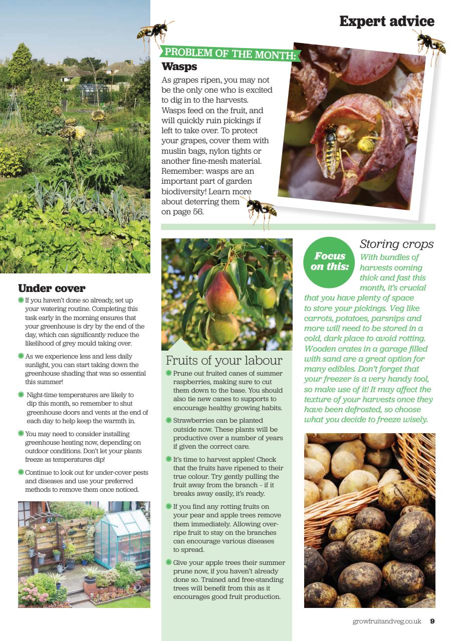 Grow Your Own Preview Pages
