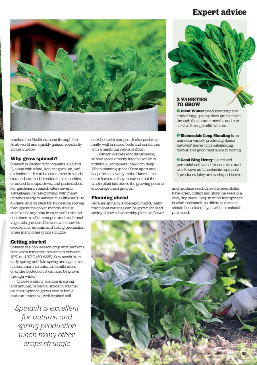 Grow Your Own Preview Pages