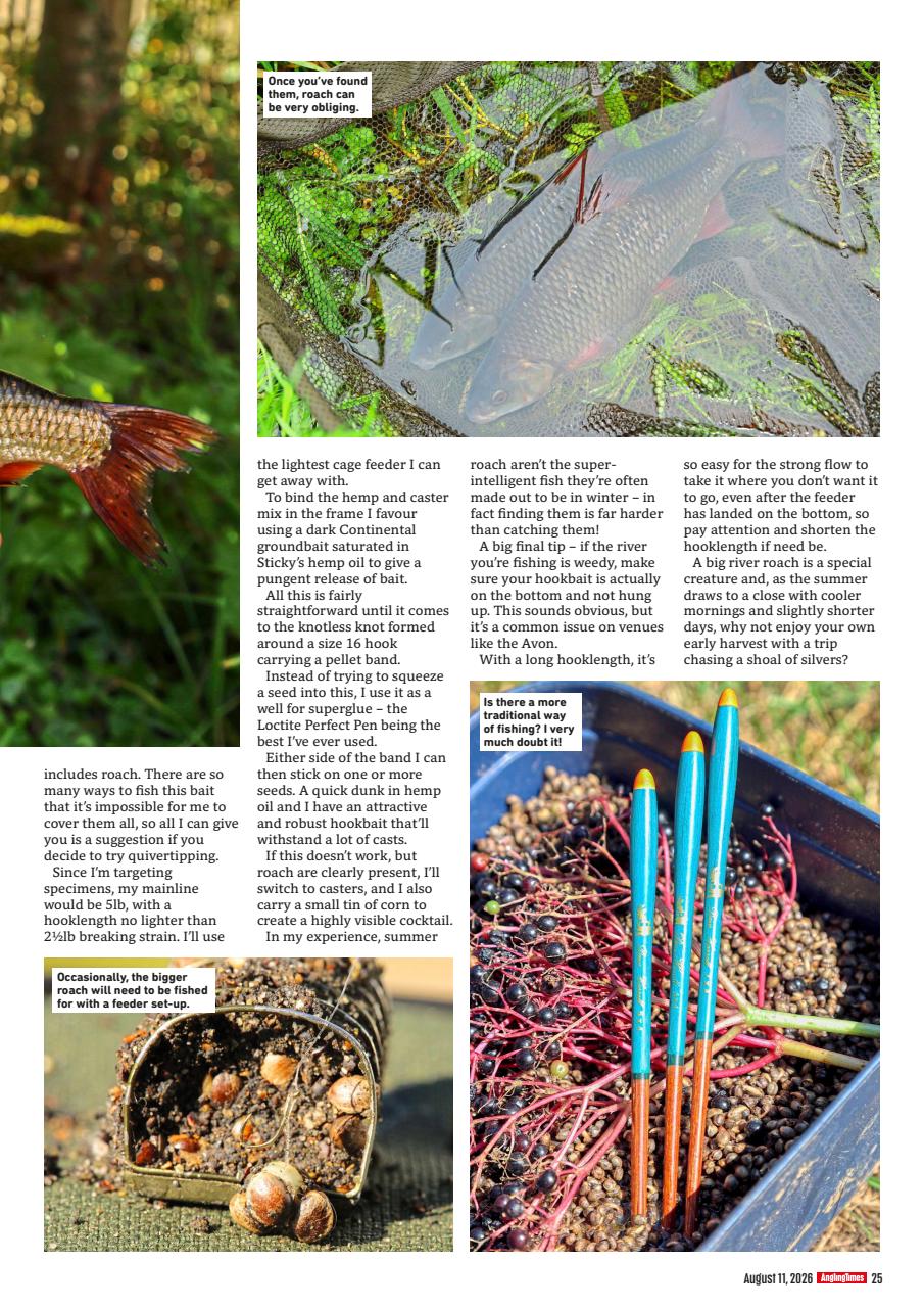 Angling Times Preview Pages