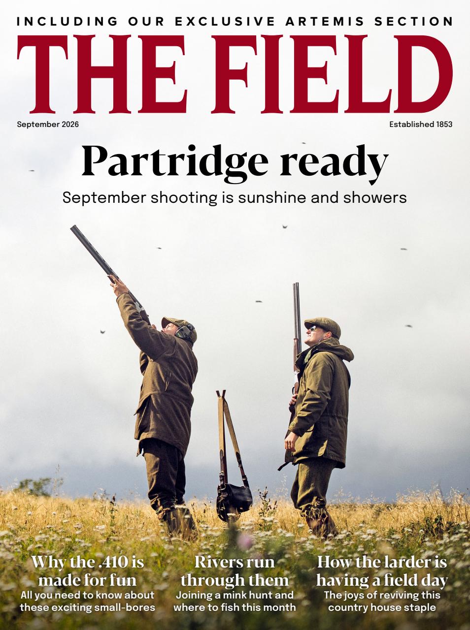 The Field Preview Pages
