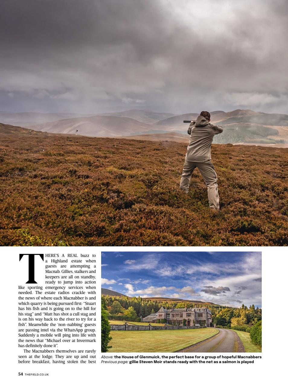 The Field Preview Pages