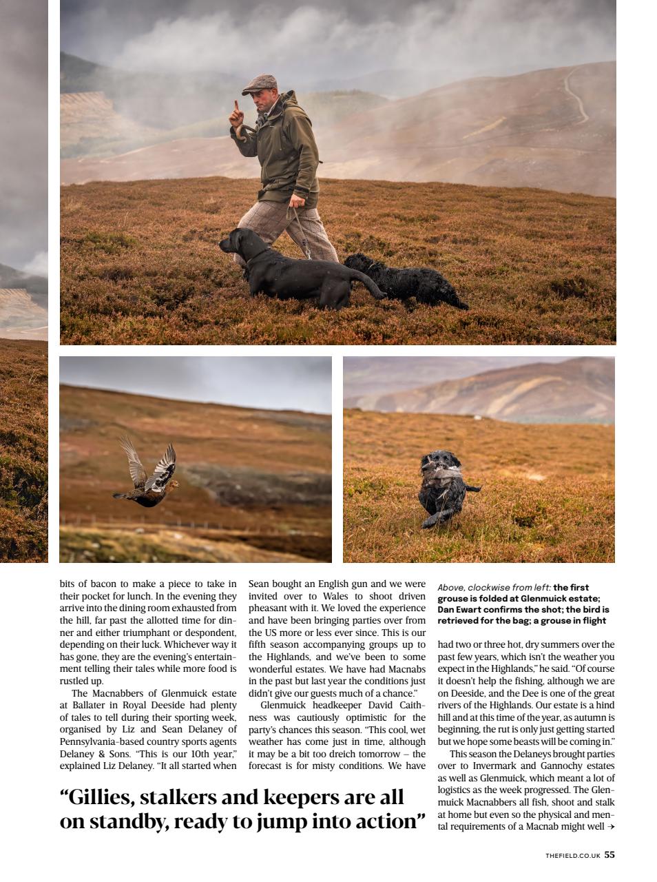 The Field Preview Pages