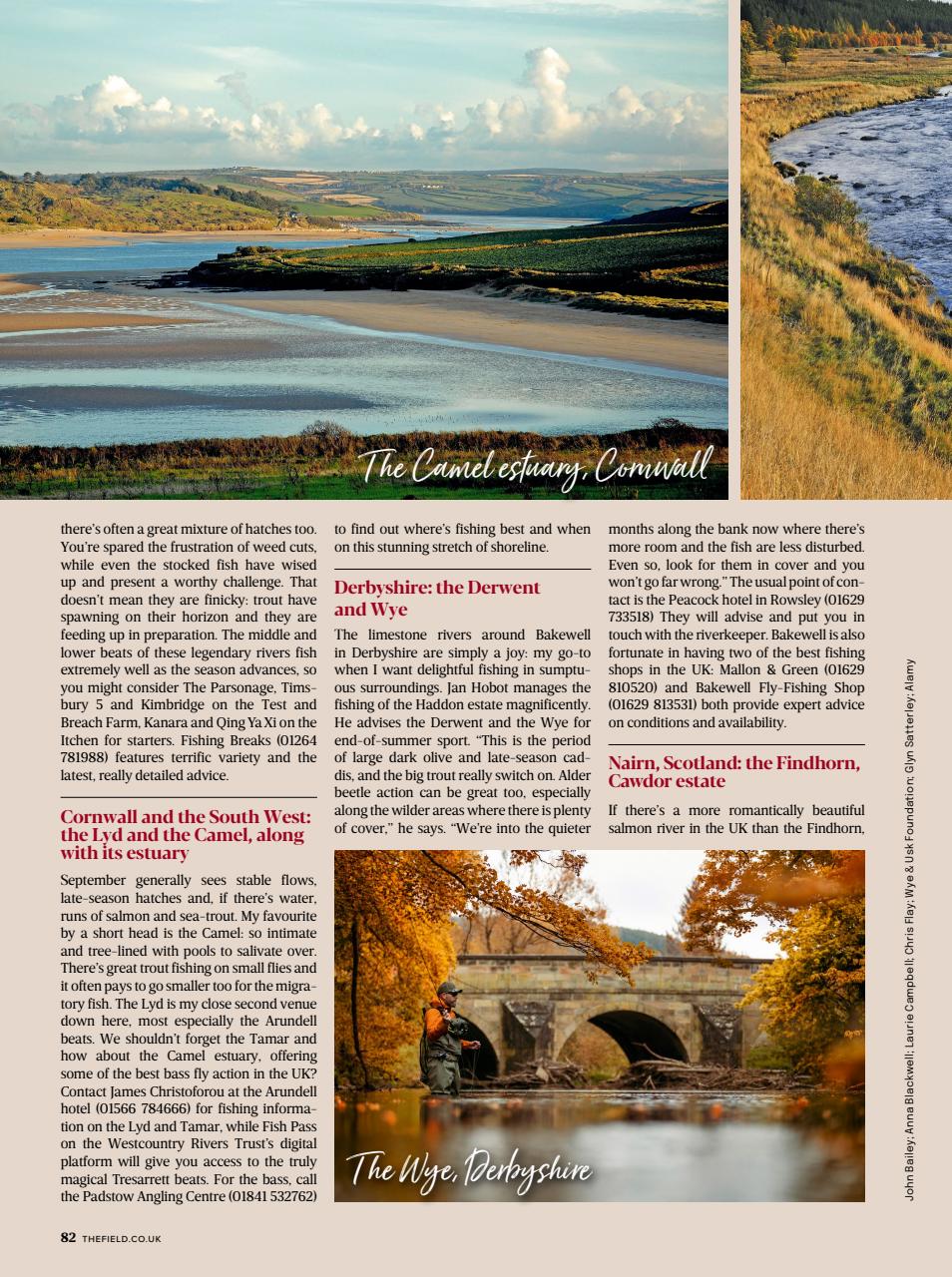 The Field Preview Pages