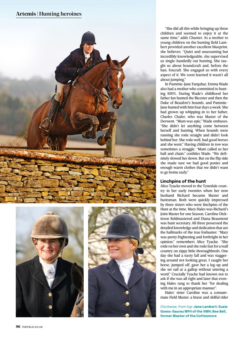 The Field Preview Pages
