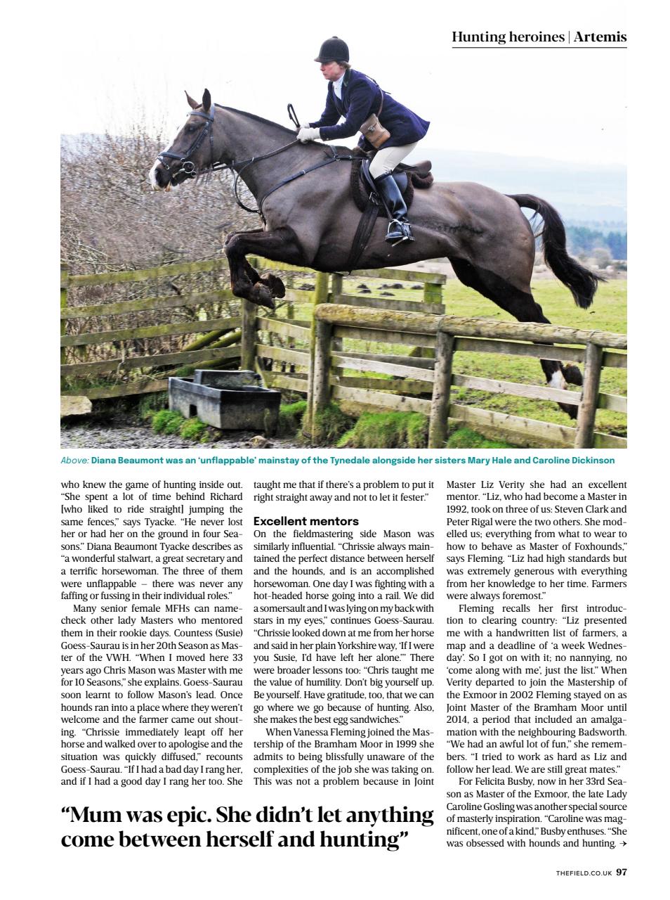The Field Preview Pages