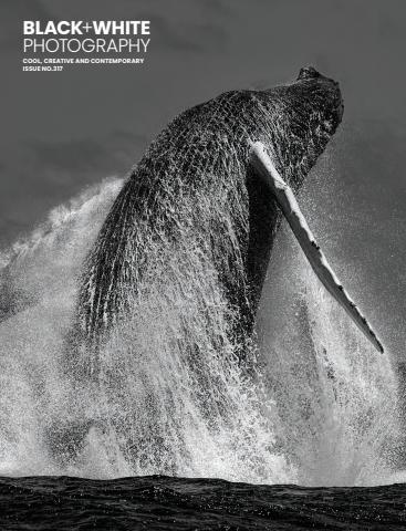 Black+White Photography issue Issue 317