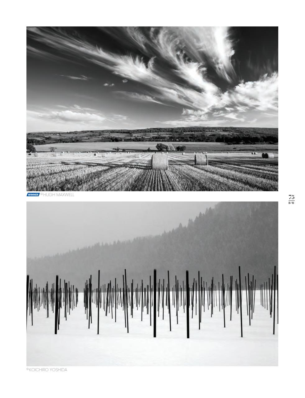 Black+White Photography Preview Pages