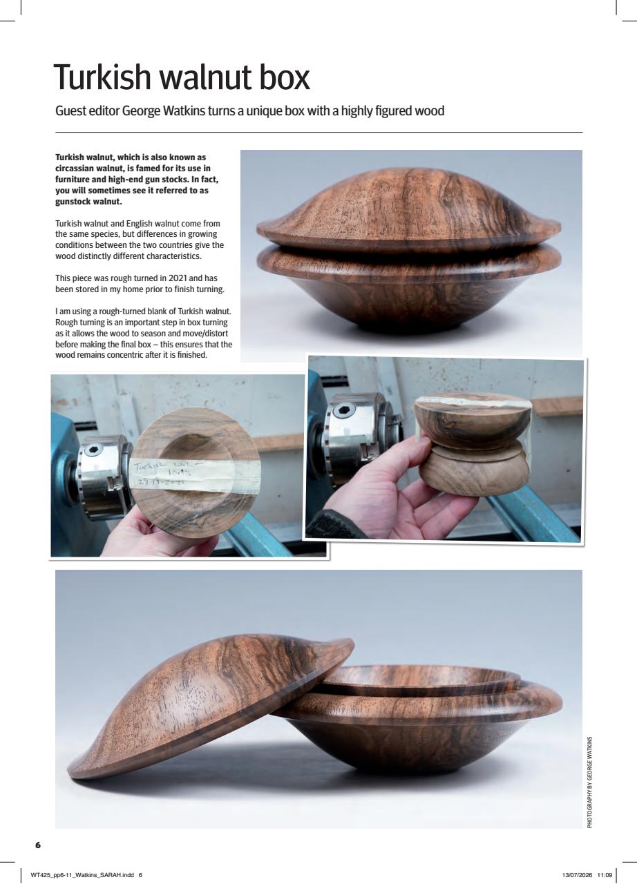 Woodturning Preview Pages