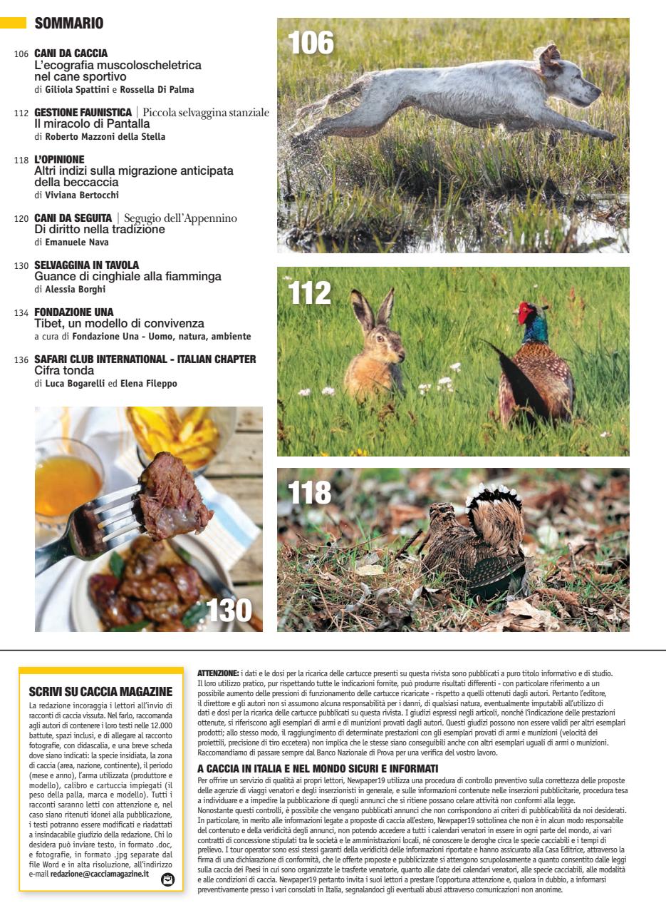 Caccia Magazine Preview Pages