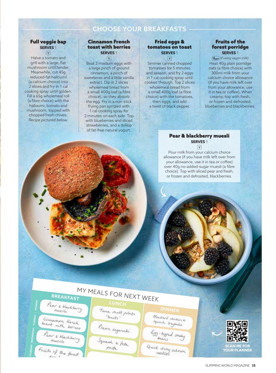 Slimming World Preview Pages