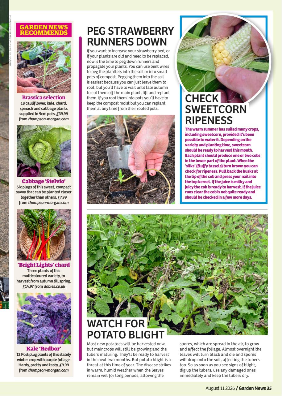Garden News Preview Pages