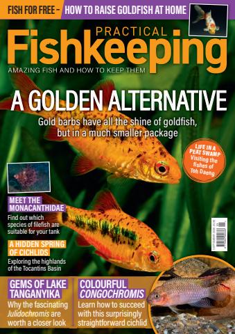 Practical Fishkeeping issue September 2026