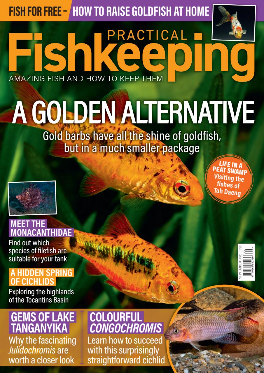 Practical Fishkeeping Preview Pages
