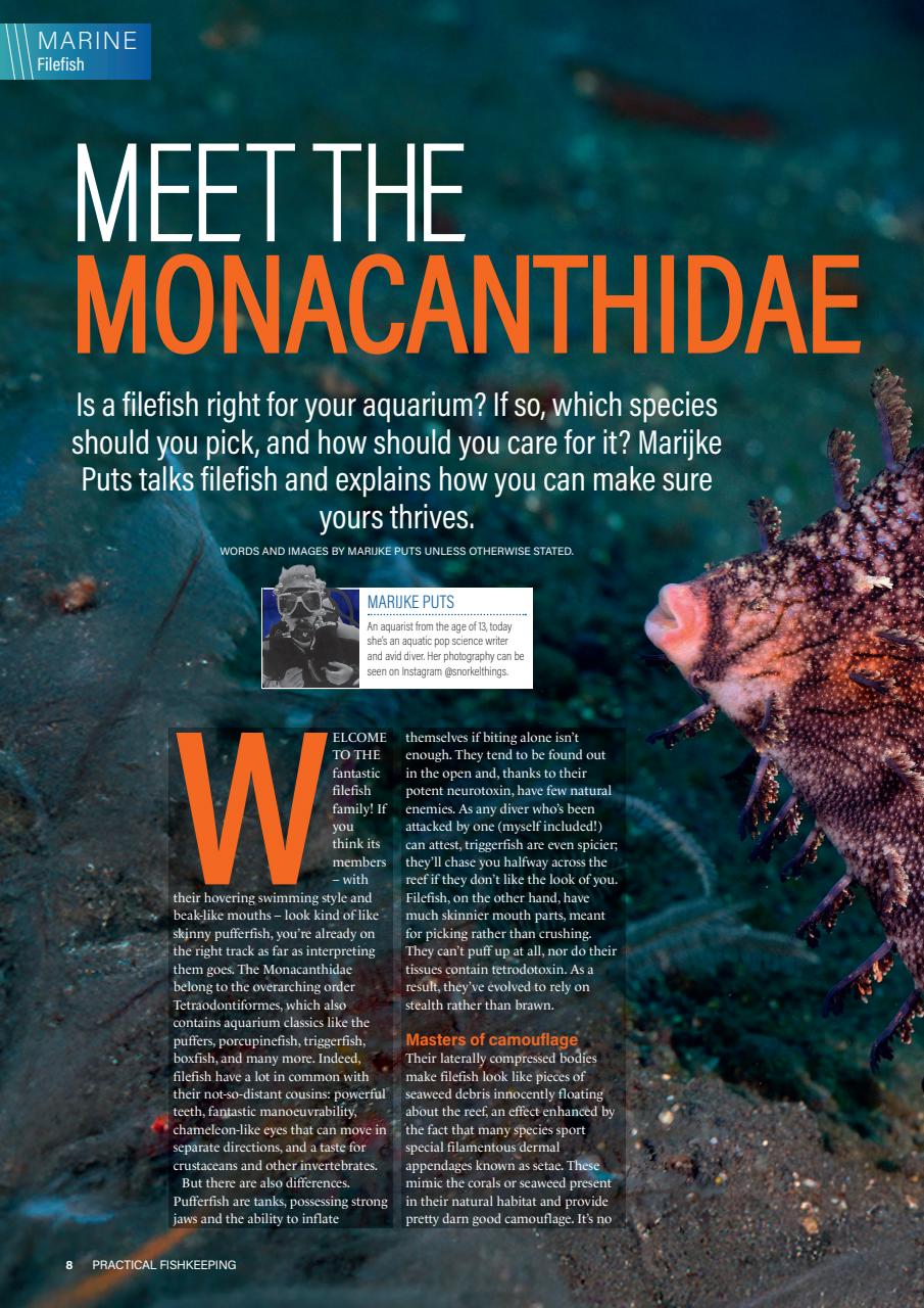 Practical Fishkeeping Preview Pages