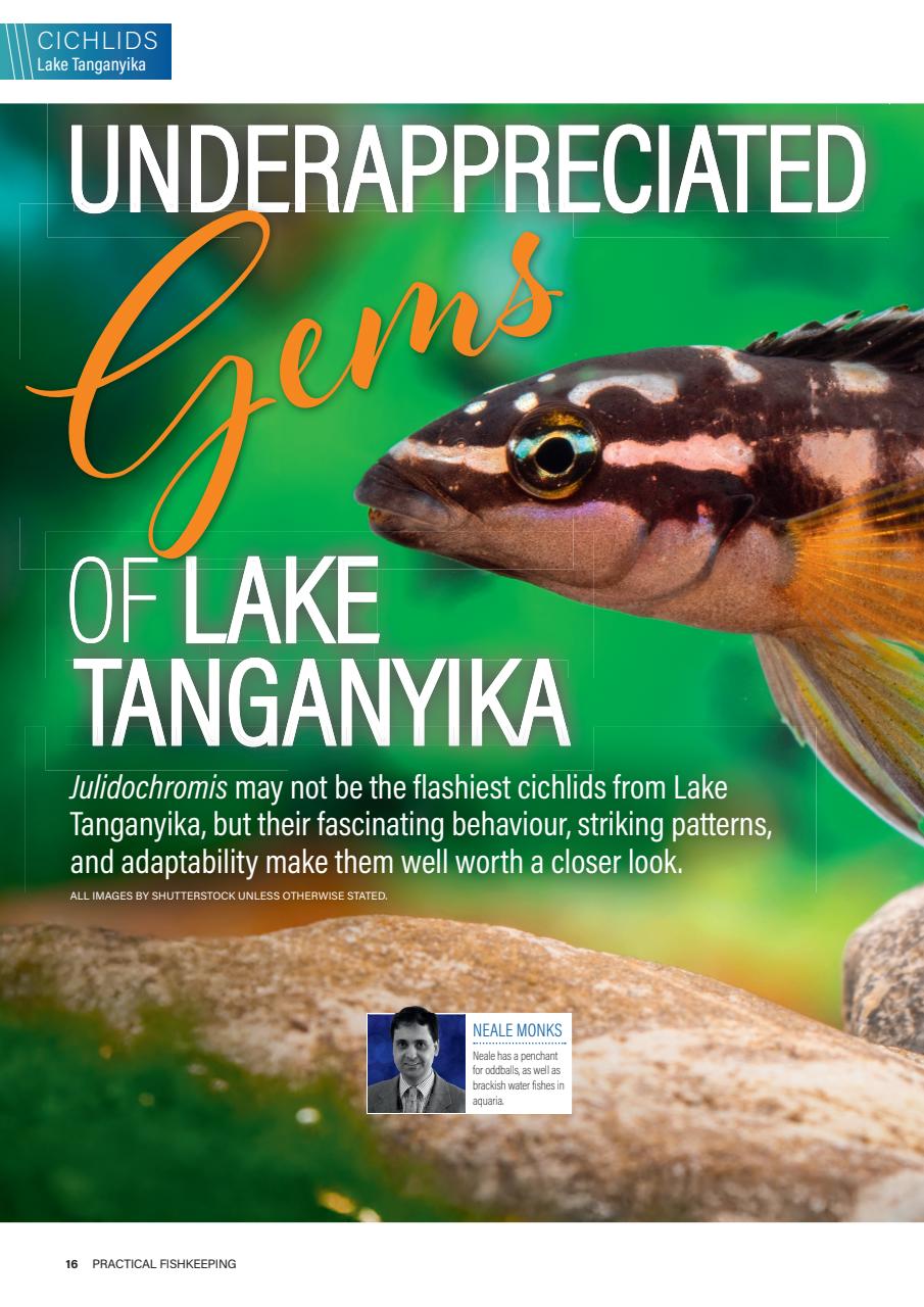 Practical Fishkeeping Preview Pages