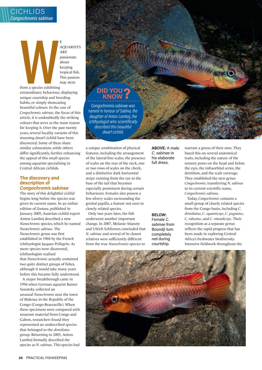 Practical Fishkeeping Preview Pages