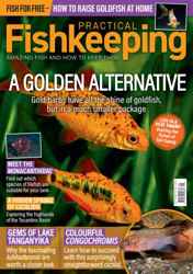 Practical Fishkeeping Complete Your Collection Cover 1