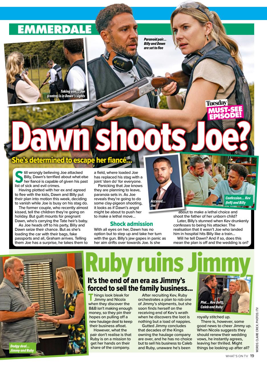 What's on TV Preview Pages