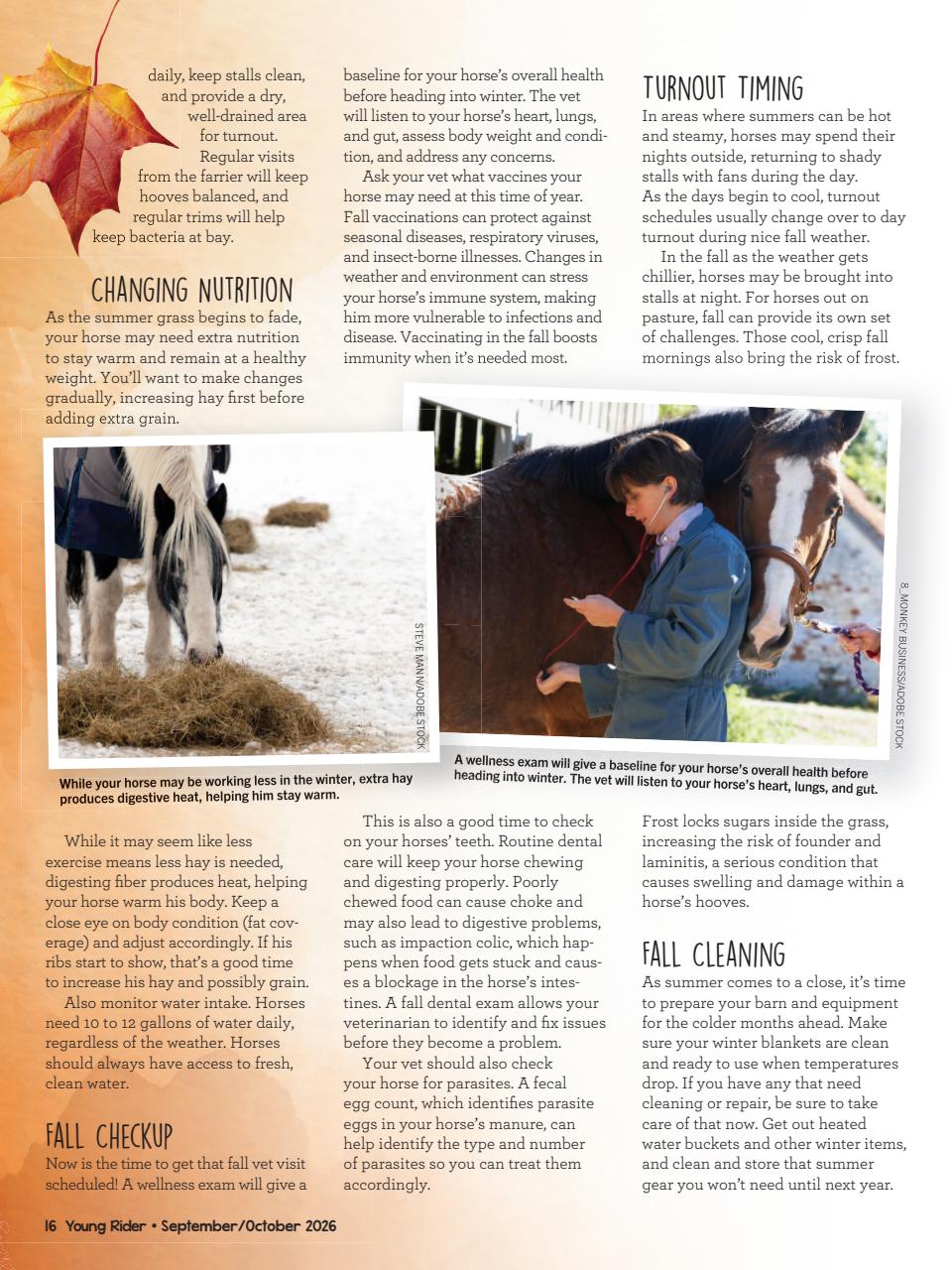 Young Rider Magazine Preview Pages