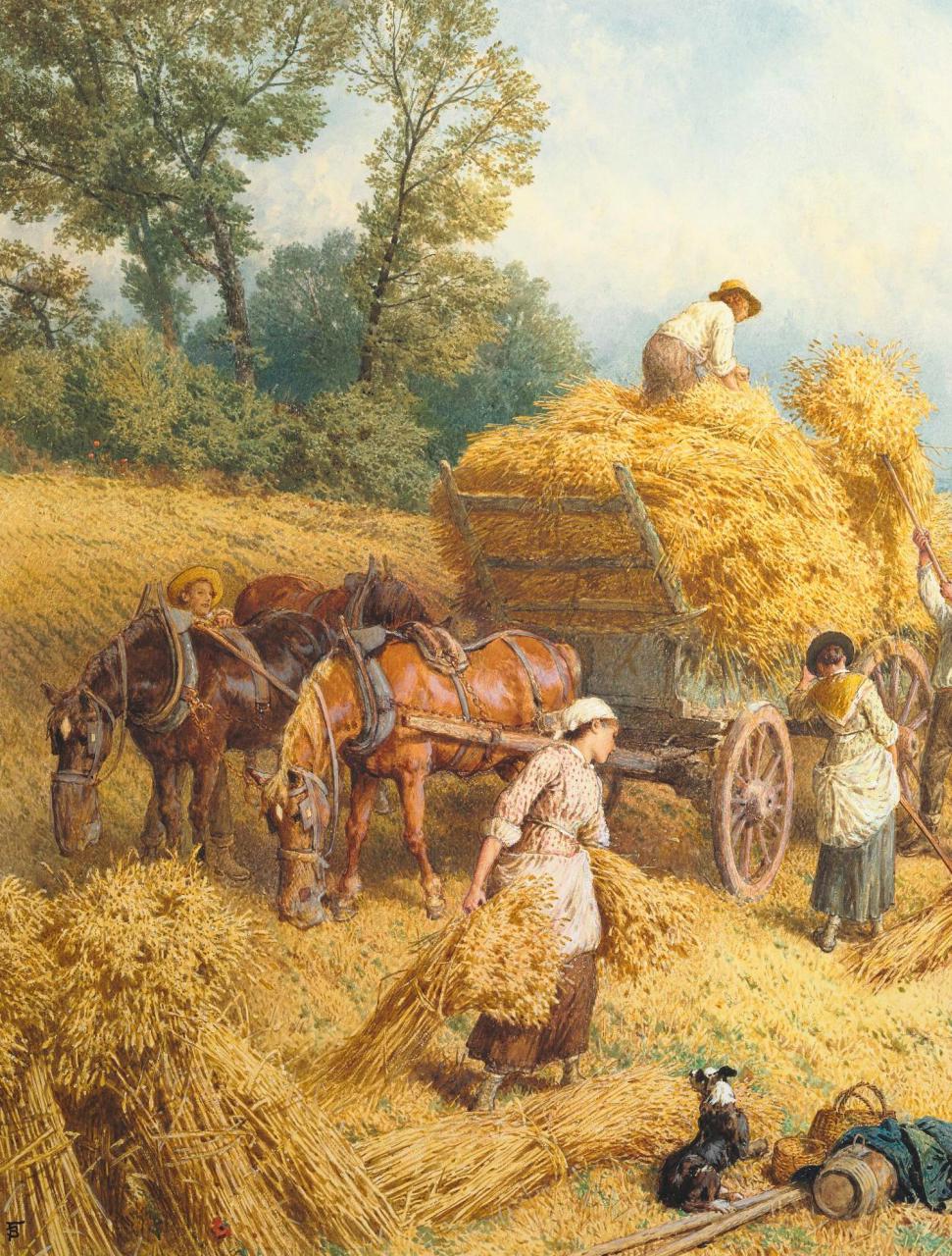 Country Life Preview Pages