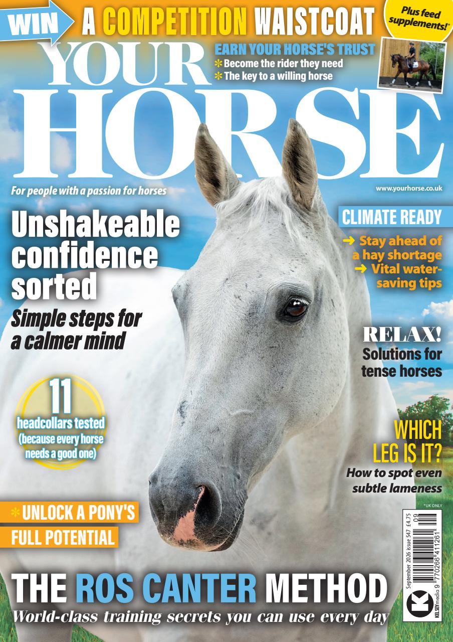 Your Horse Preview Pages