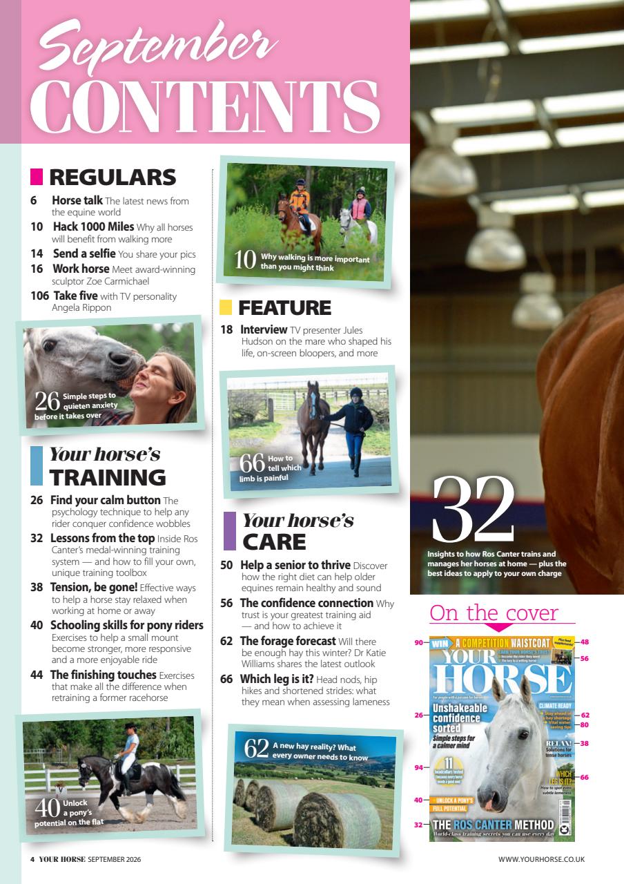 Your Horse Preview Pages