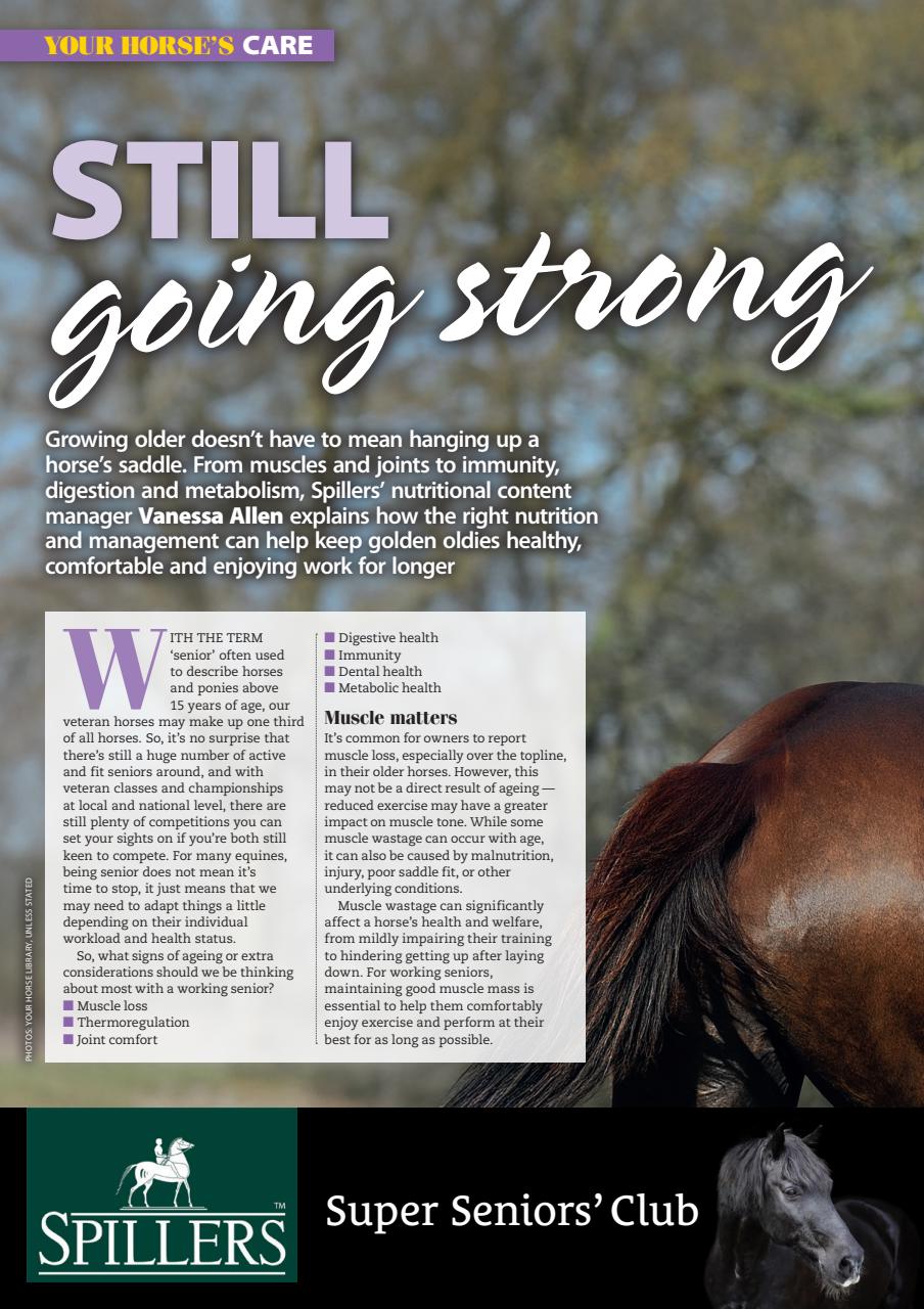 Your Horse Preview Pages