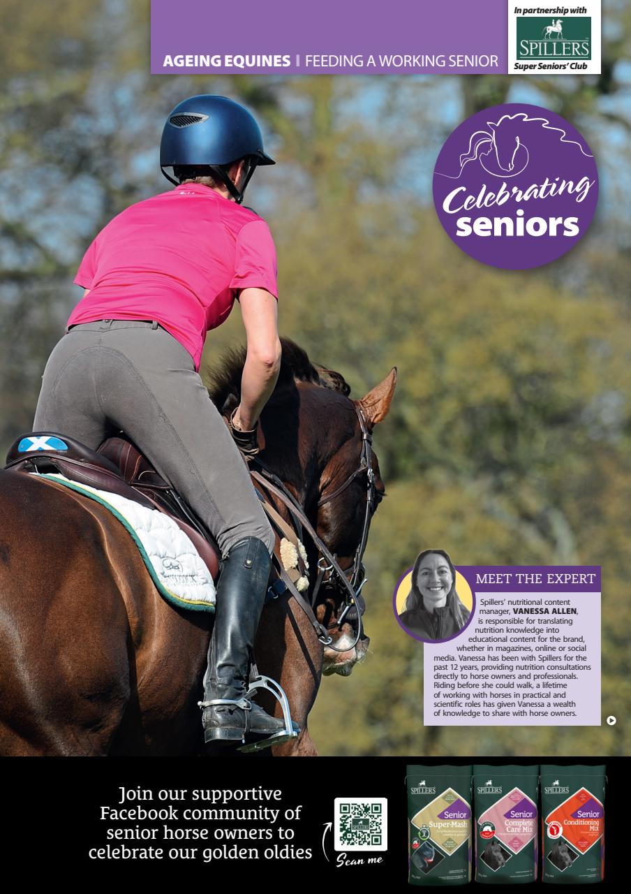 Your Horse Preview Pages