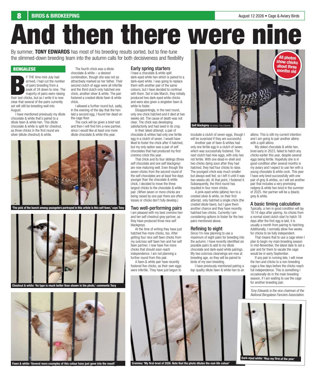Cage & Aviary Birds Preview Pages