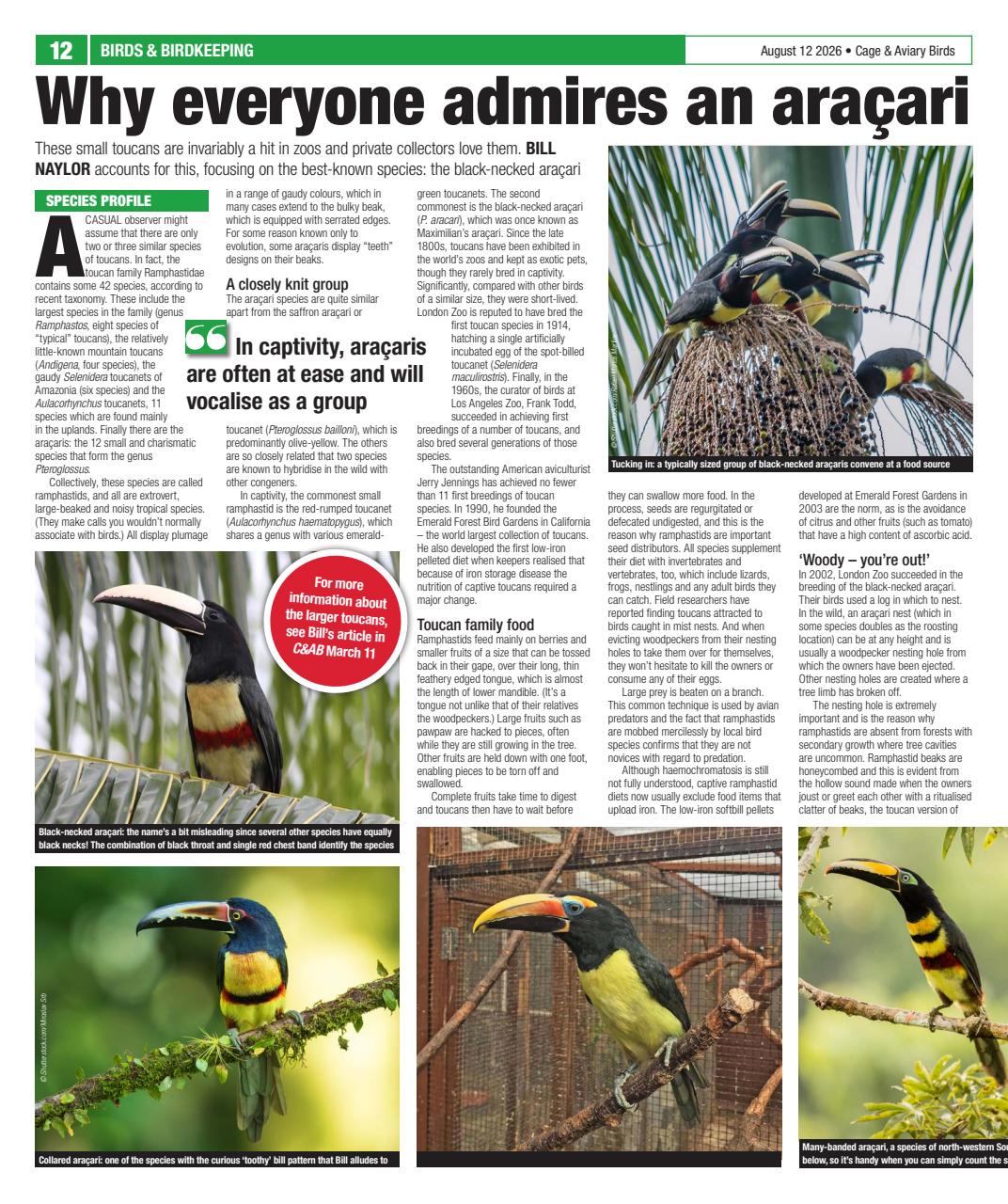 Cage & Aviary Birds Preview Pages