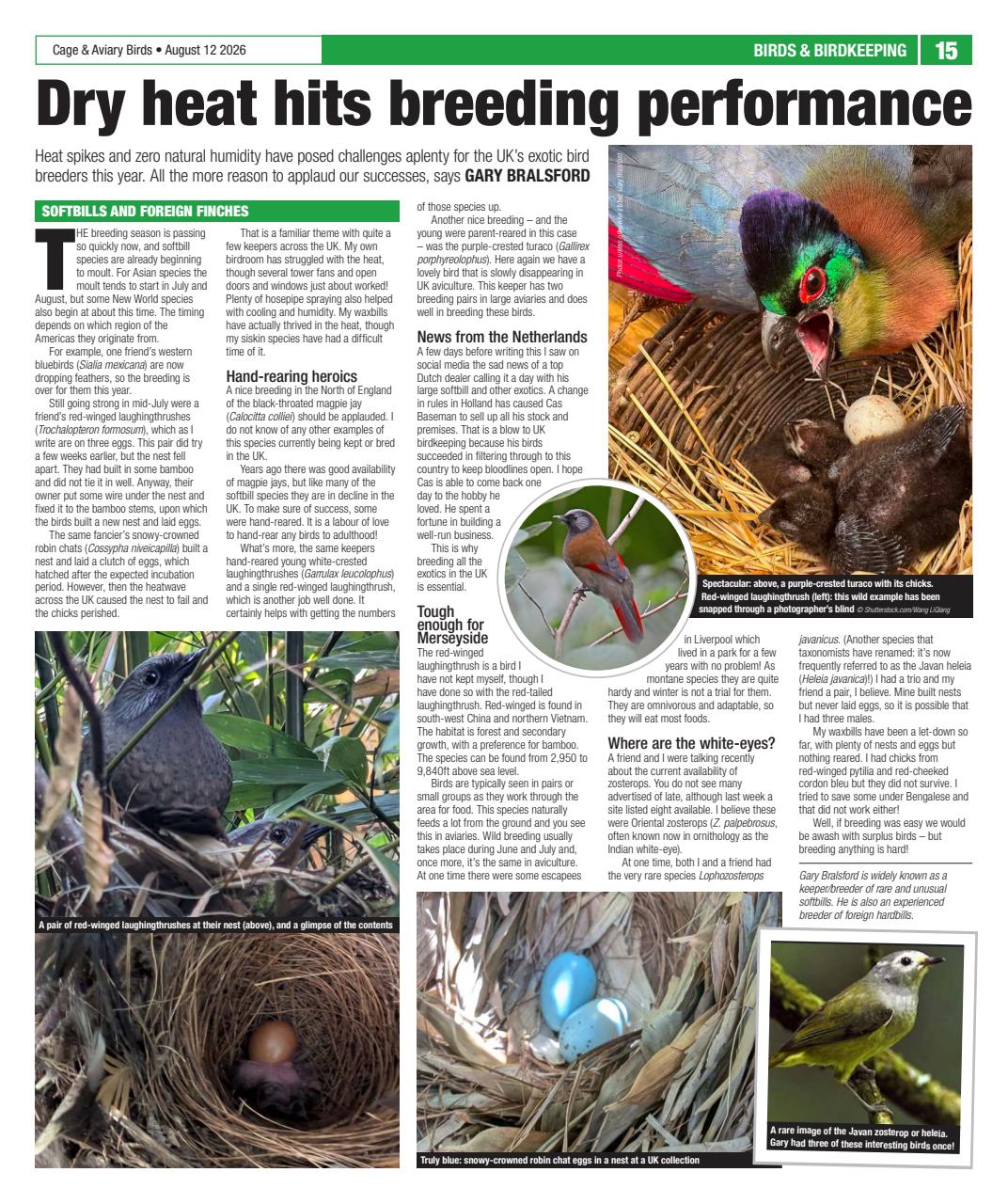 Cage & Aviary Birds Preview Pages