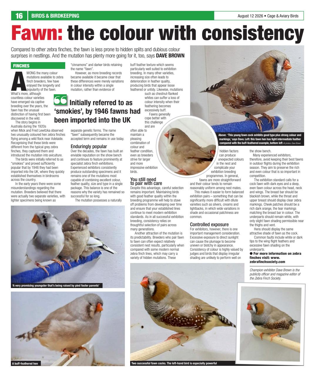 Cage & Aviary Birds Preview Pages