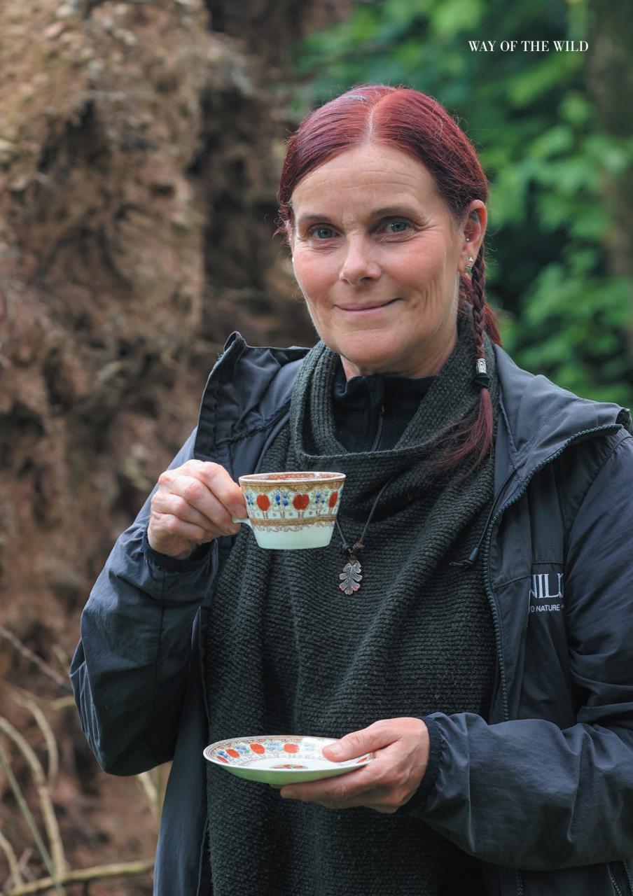 Dumfries & Galloway Life Preview Pages