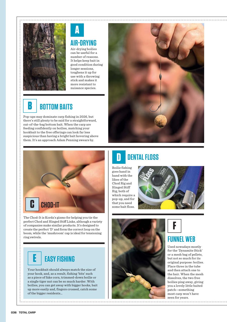 Total Carp Preview Pages