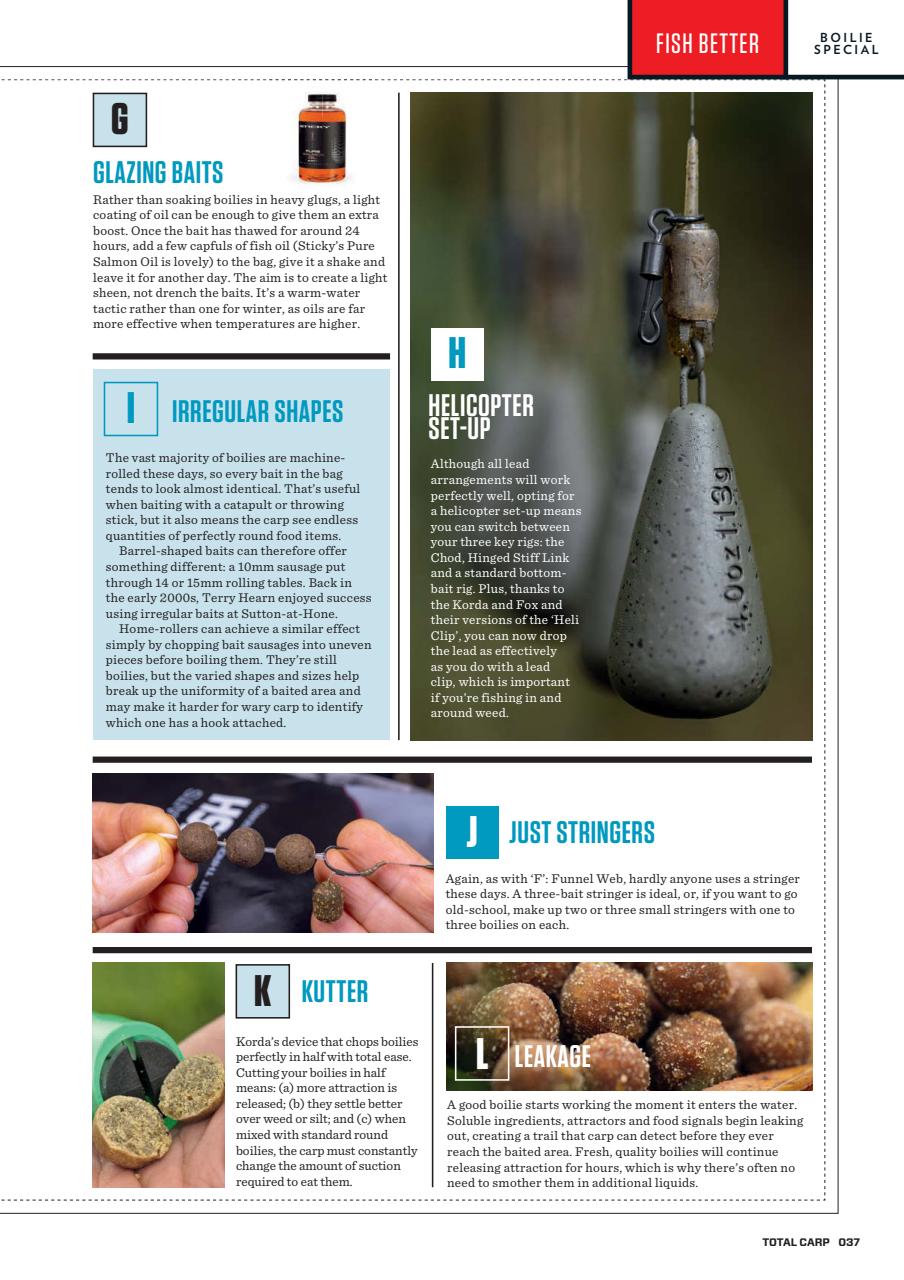 Total Carp Preview Pages