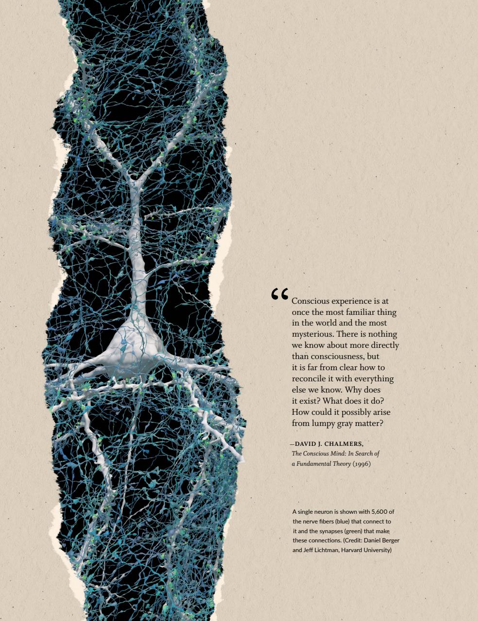 Skeptic Preview Pages