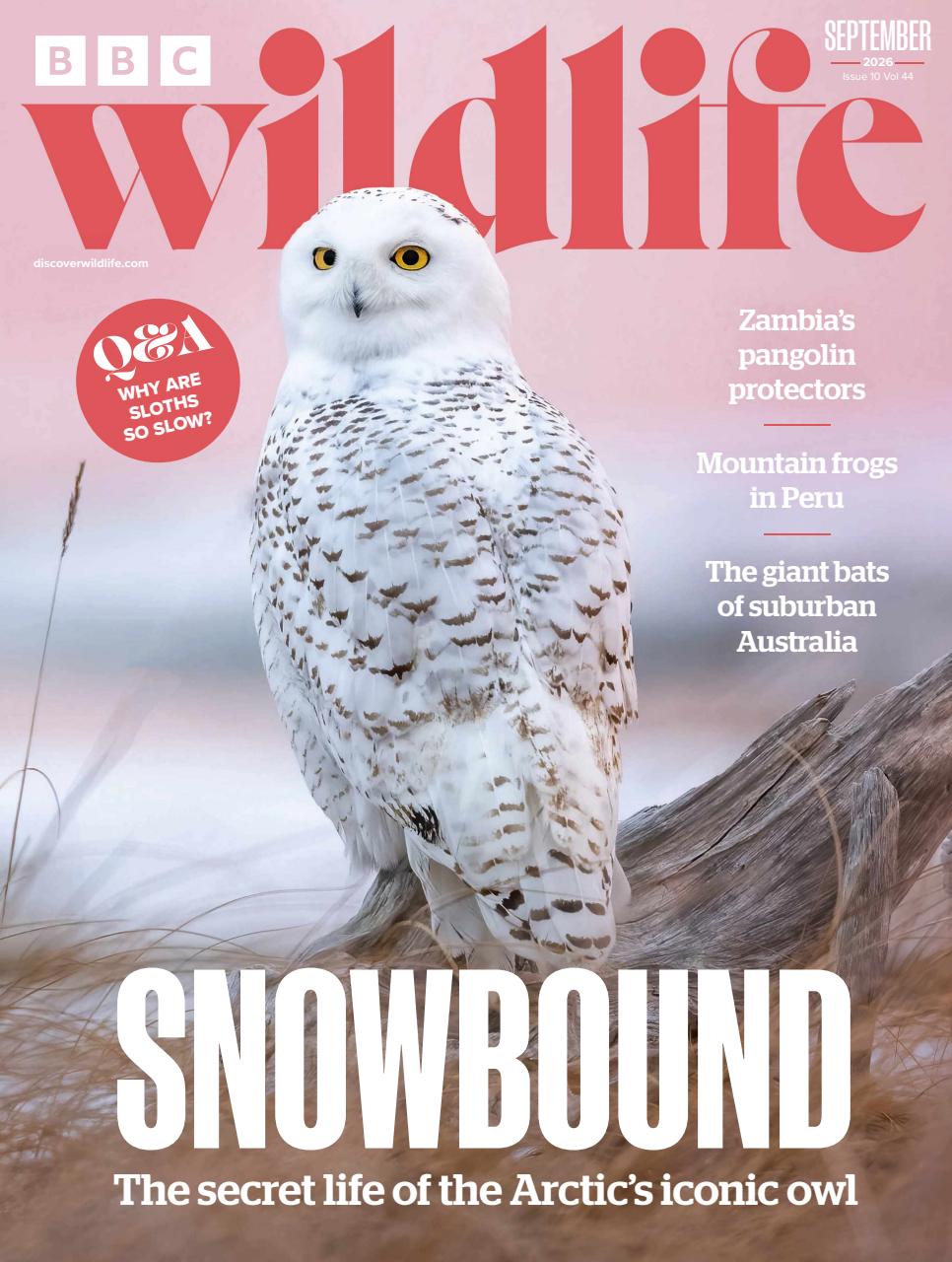 BBC Wildlife Magazine Preview Pages