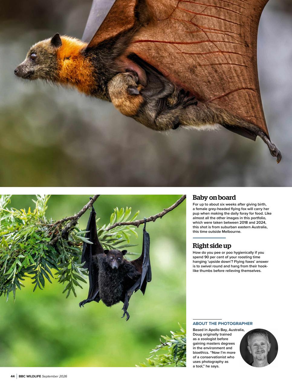 BBC Wildlife Magazine Preview Pages
