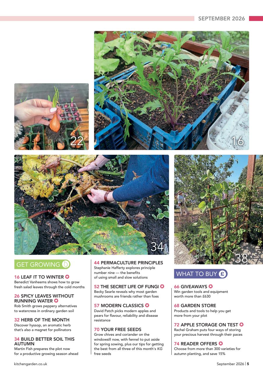 Kitchen Garden Magazine Preview Pages