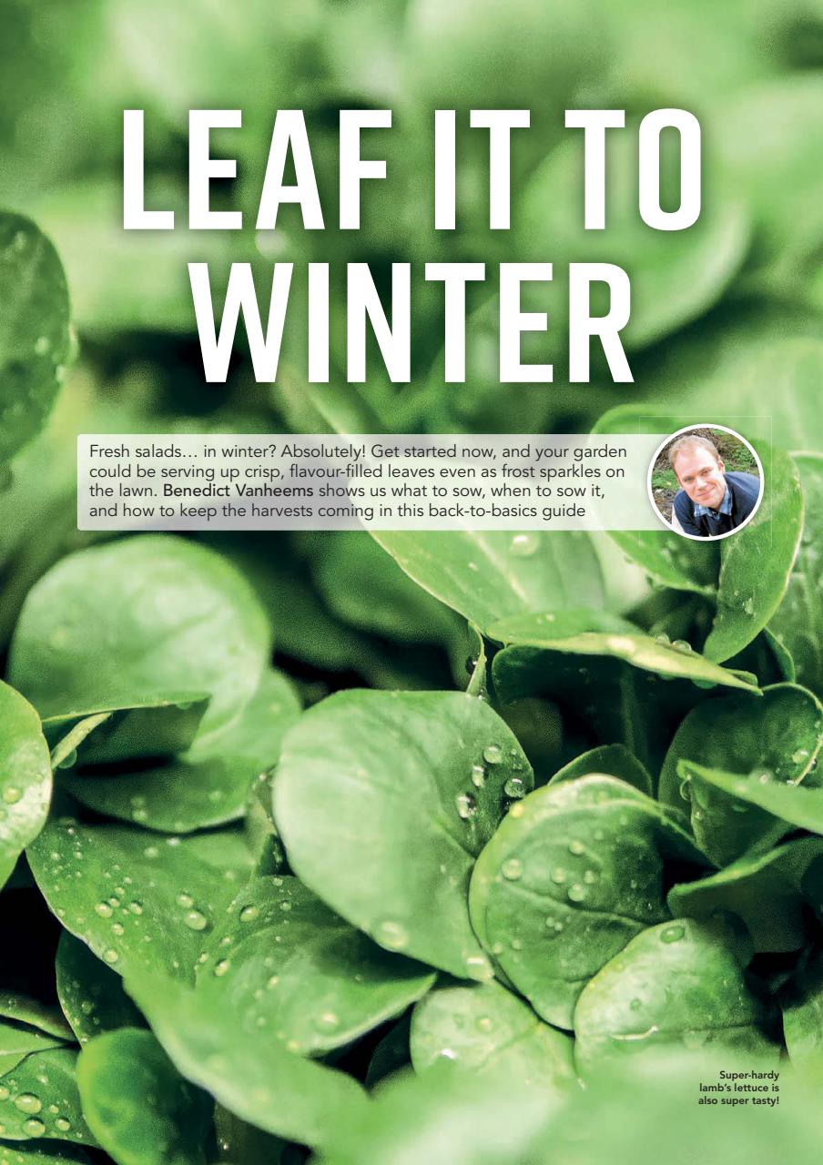 Kitchen Garden Magazine Preview Pages