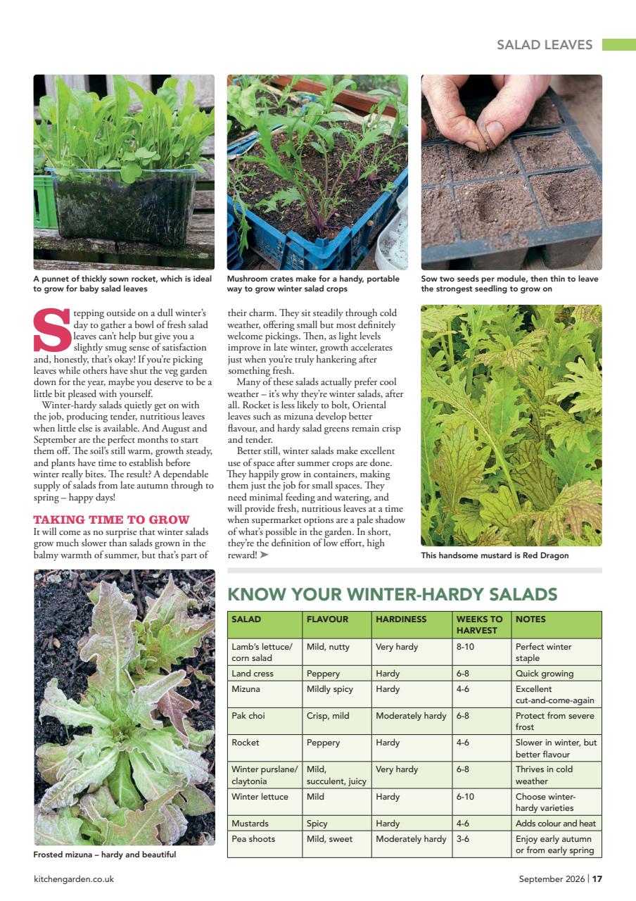 Kitchen Garden Magazine Preview Pages