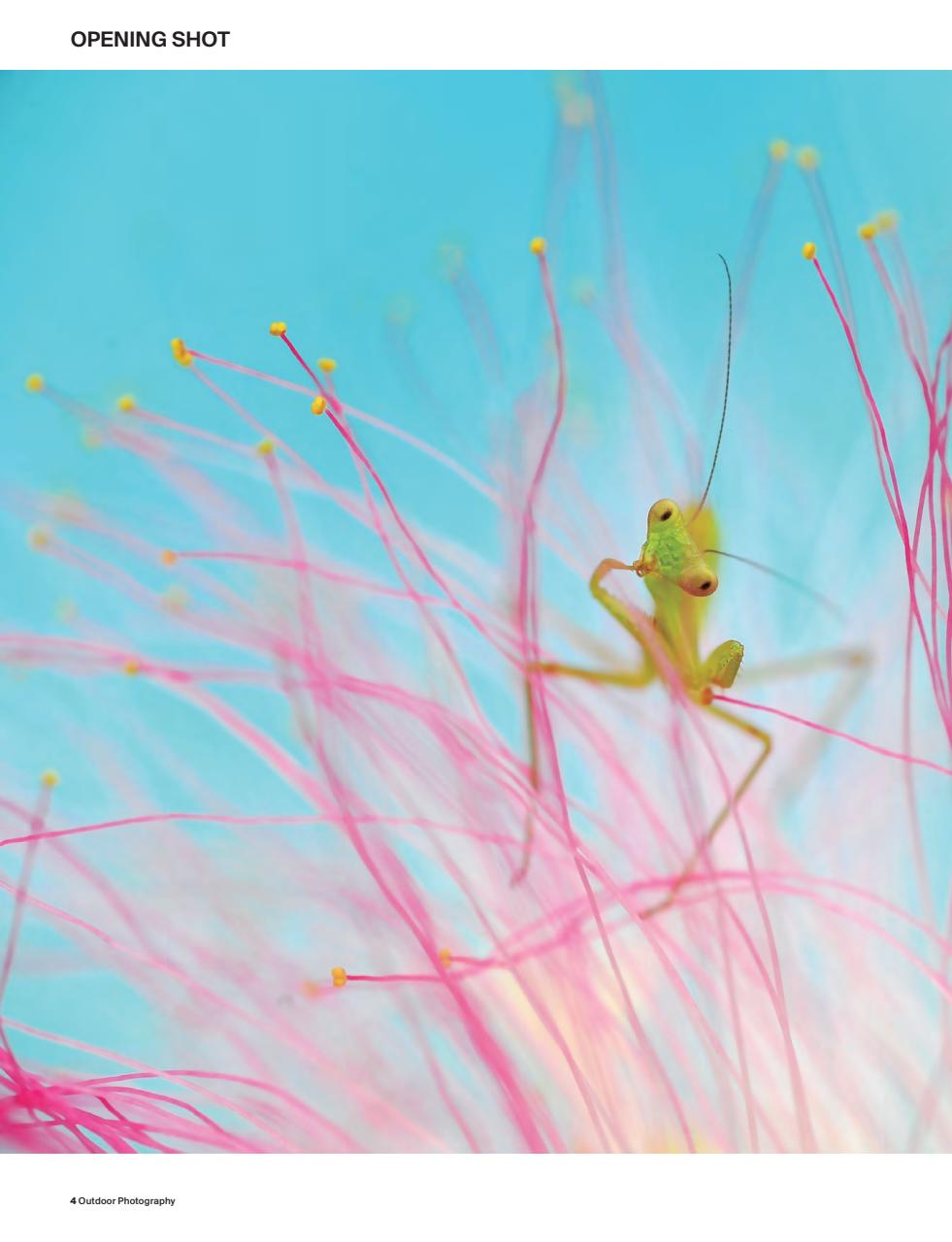 Outdoor Photography Preview Pages