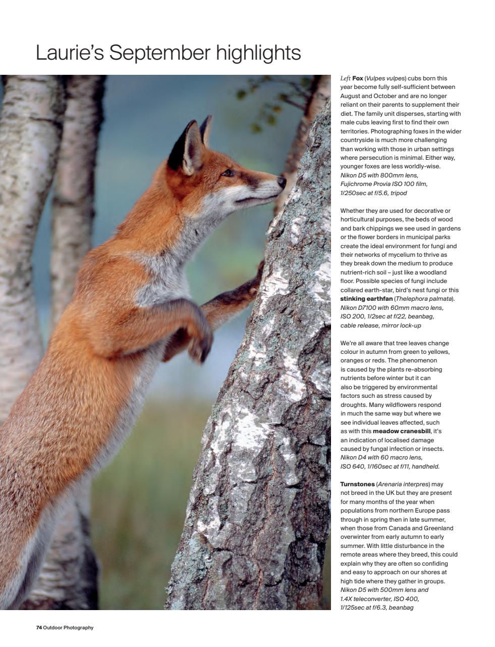 Outdoor Photography Preview Pages
