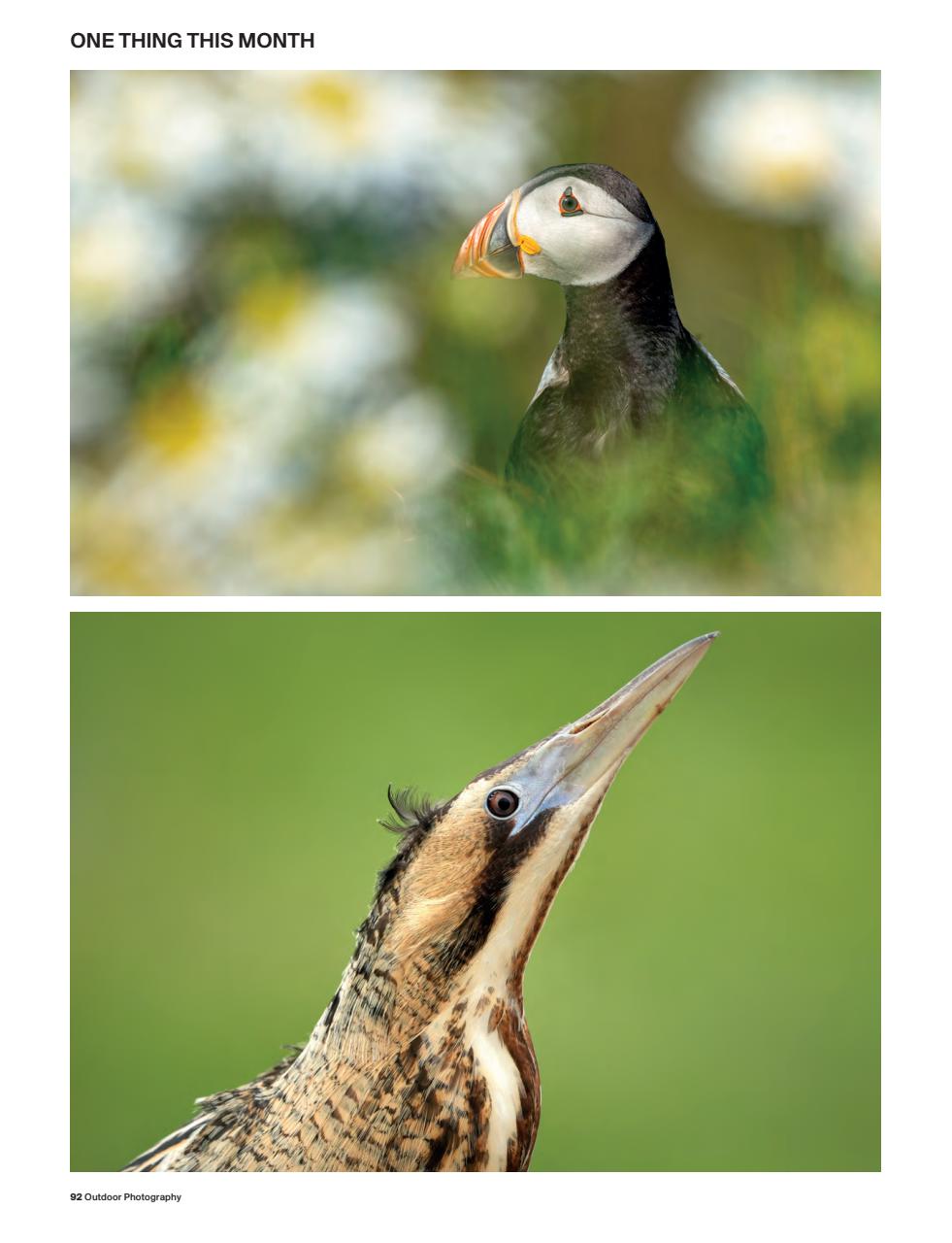 Outdoor Photography Preview Pages