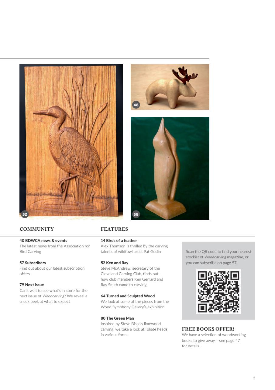 Woodcarving Preview Pages