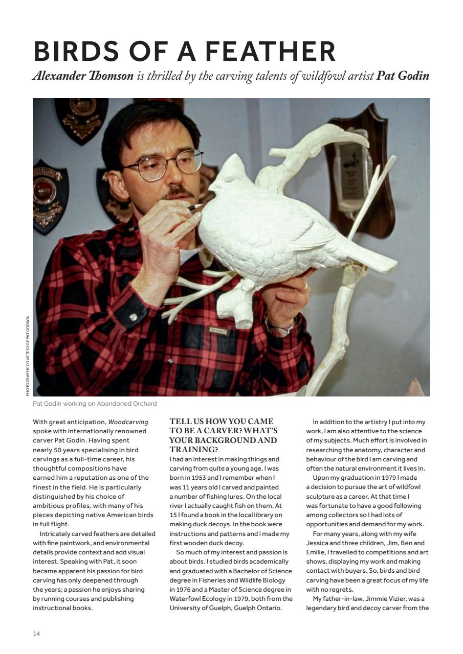 Woodcarving Preview Pages