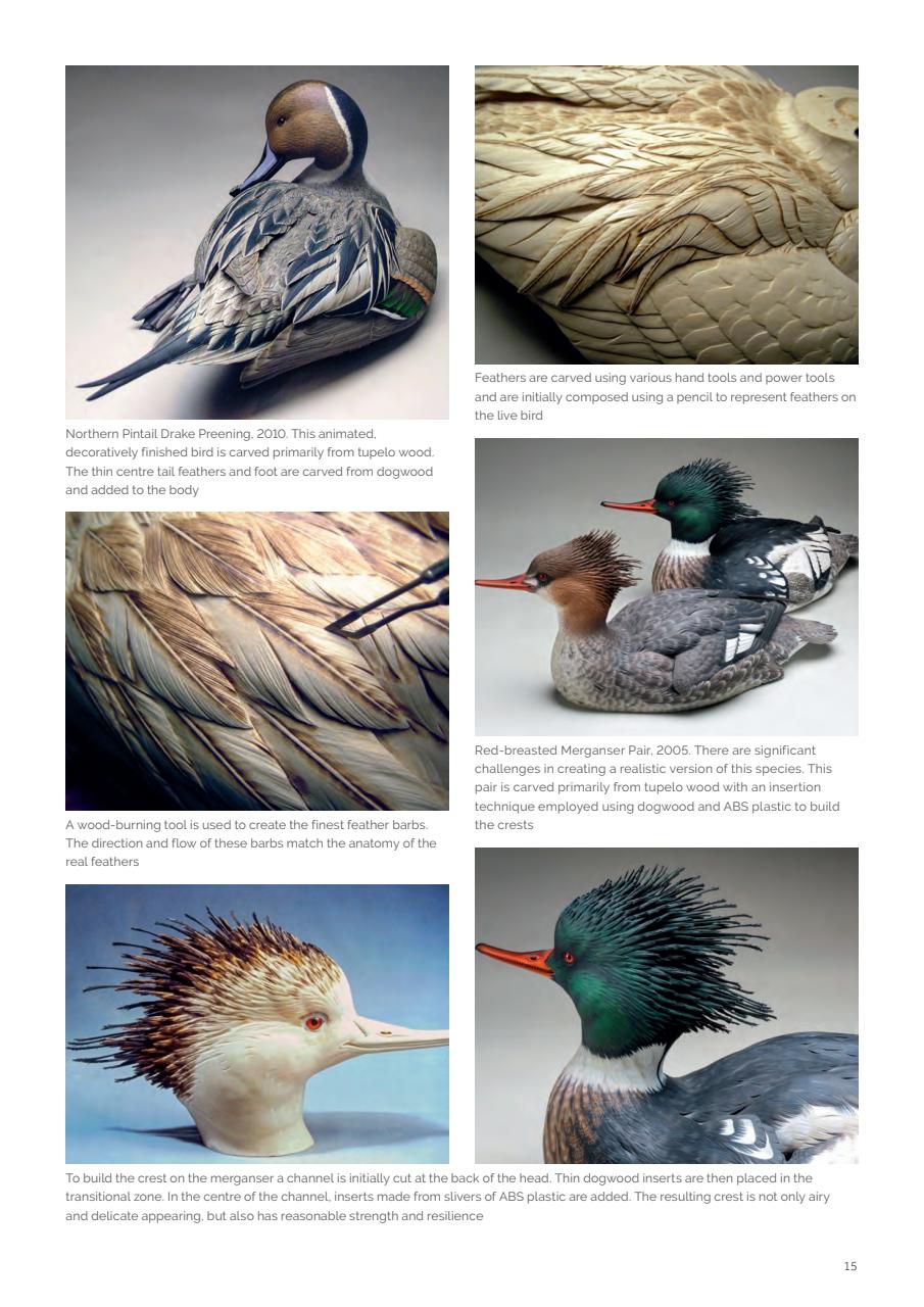 Woodcarving Preview Pages