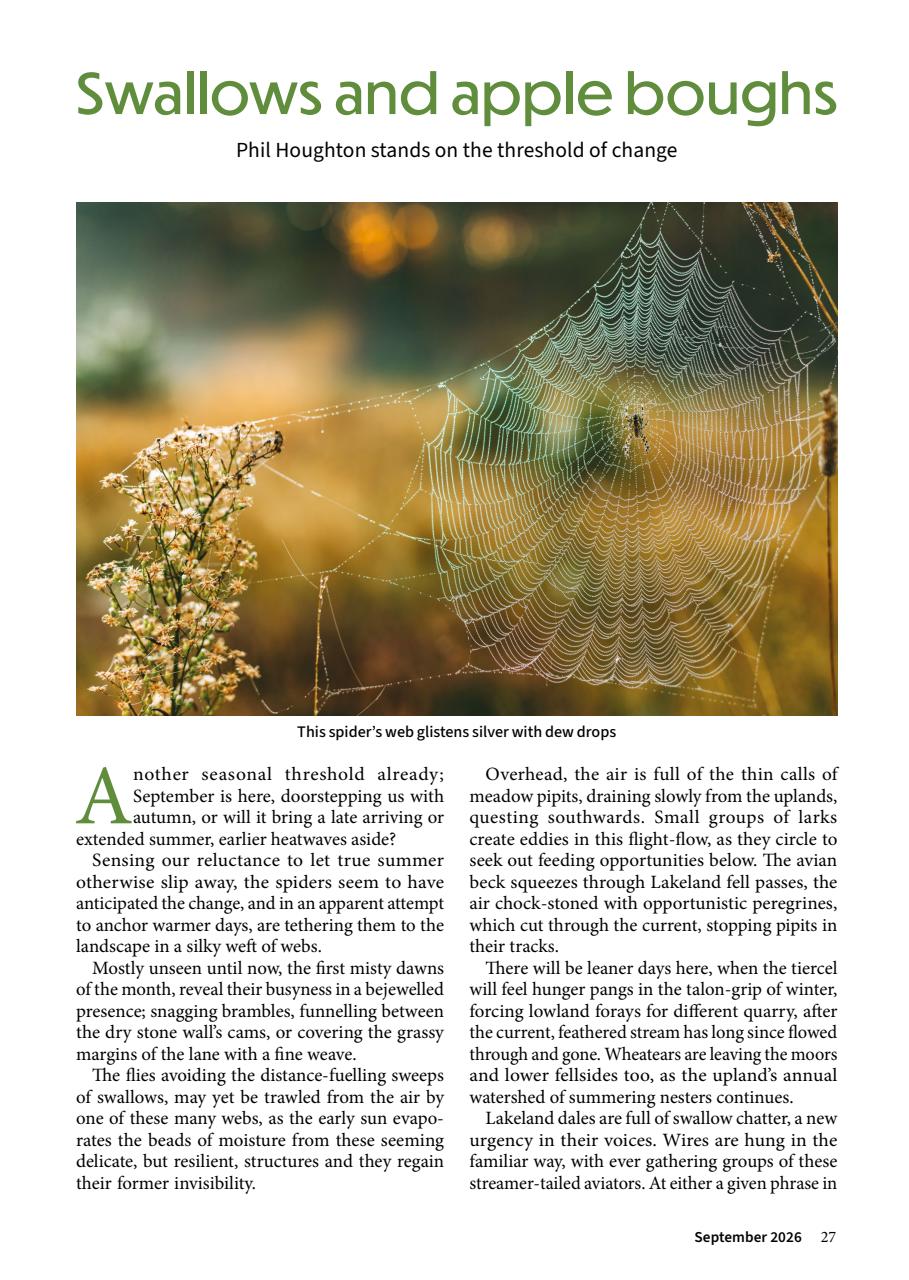 Cumbria and Lakeland Walker Preview Pages